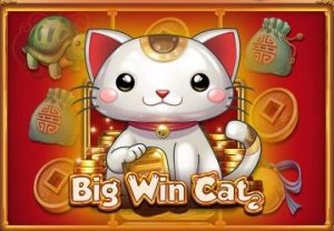 Big Win Cat